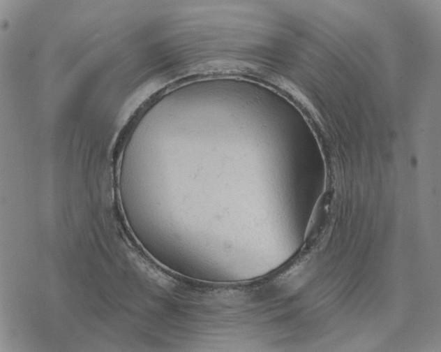 X0000076381075200610161109