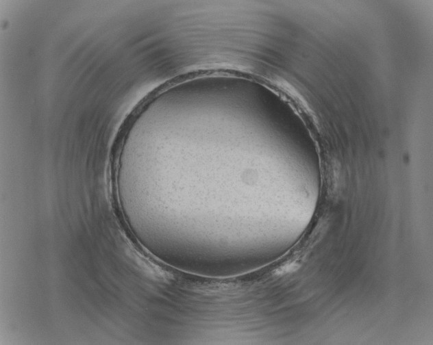 X0000076381076200610161109