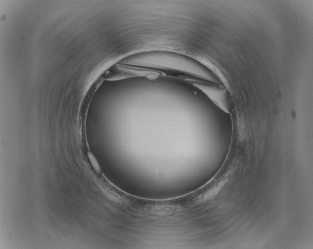 X0000076381077200610161109