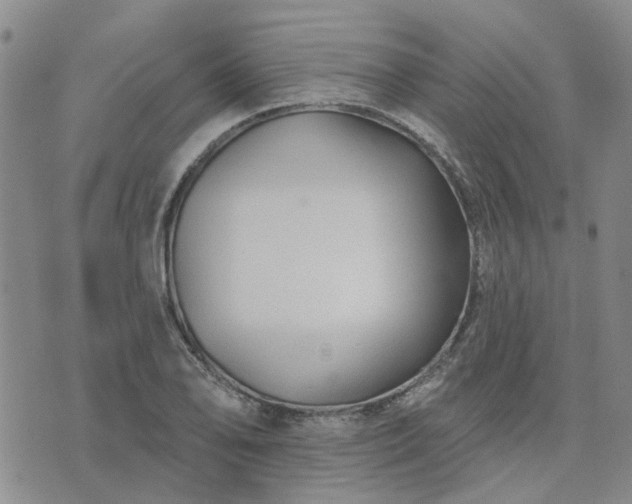 X0000076381078200610161109