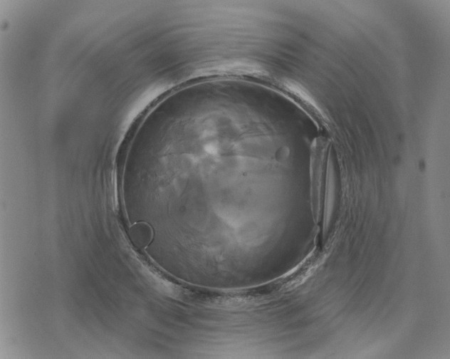 X0000076381079200610161109