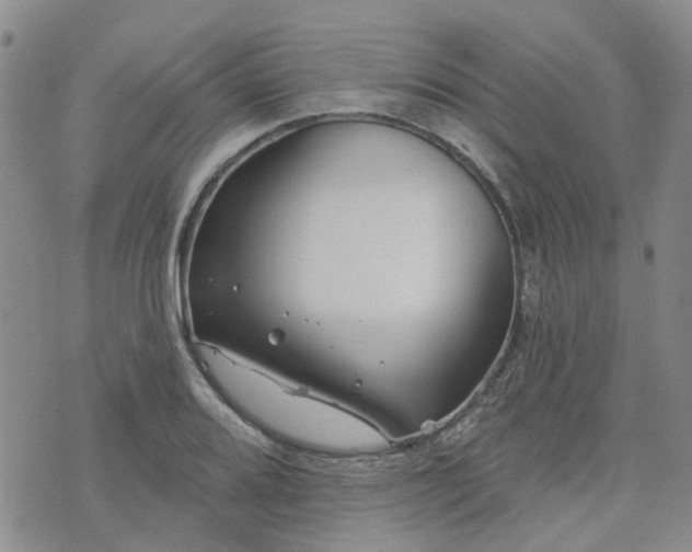 X0000076381080200610161109