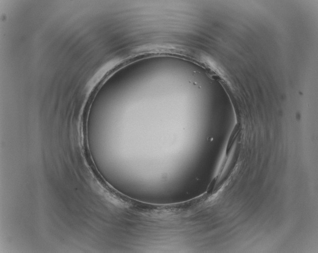 X0000076381082200610161109