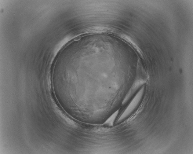 X0000076381083200610161109