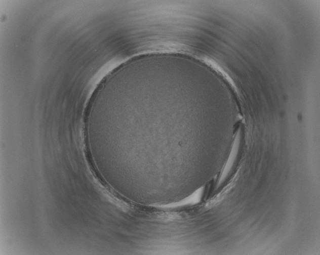 X0000076381085200610161109