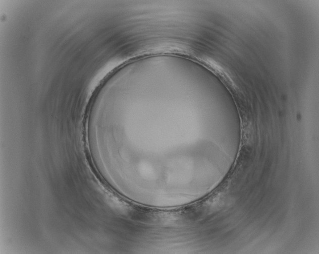 X0000076381086200610161109