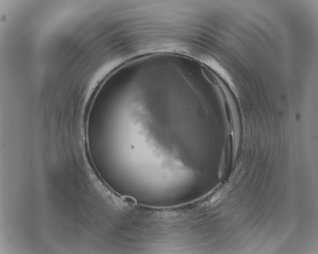 X0000076381088200610161109