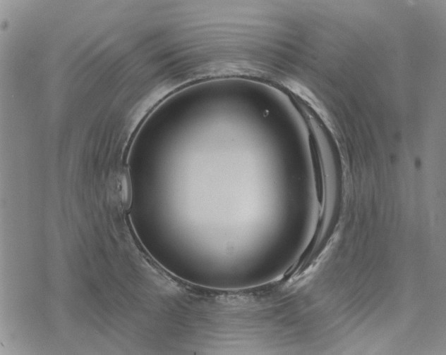 X0000076381089200610161109