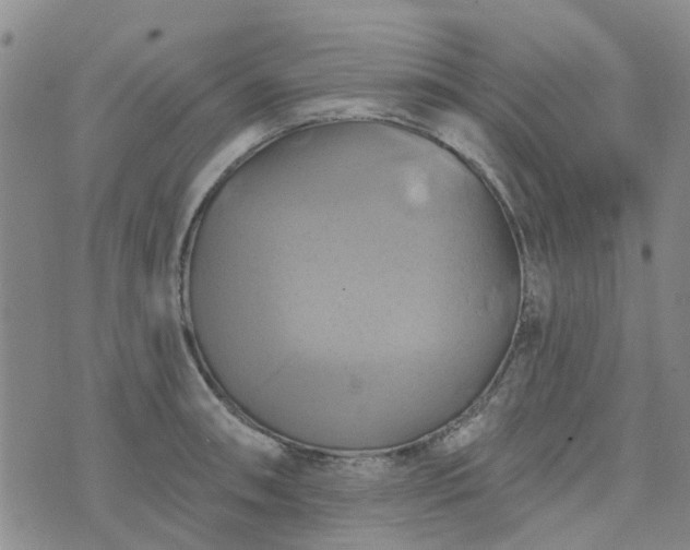 X0000076381090200610161109