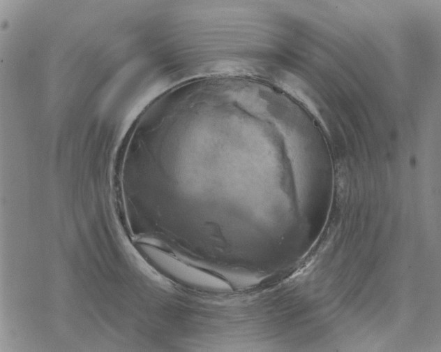 X0000076381091200610161109