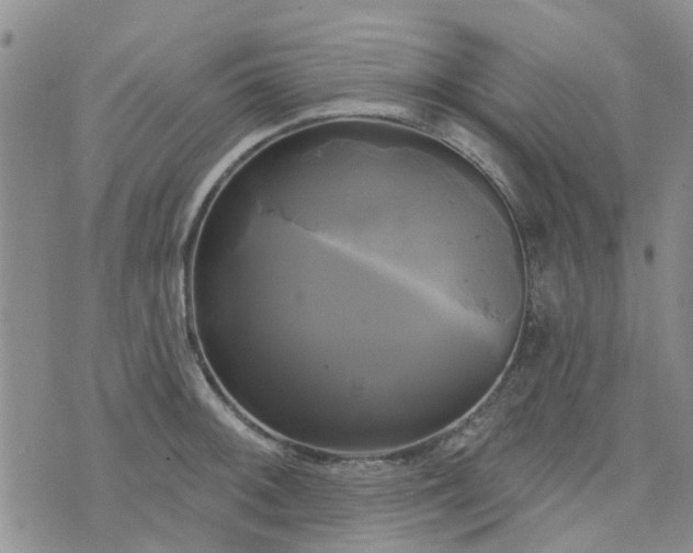 X0000076381092200610161109