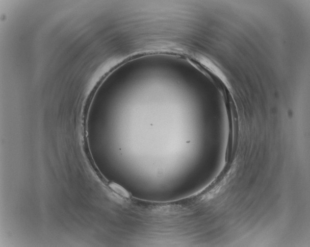 X0000076381093200610161109