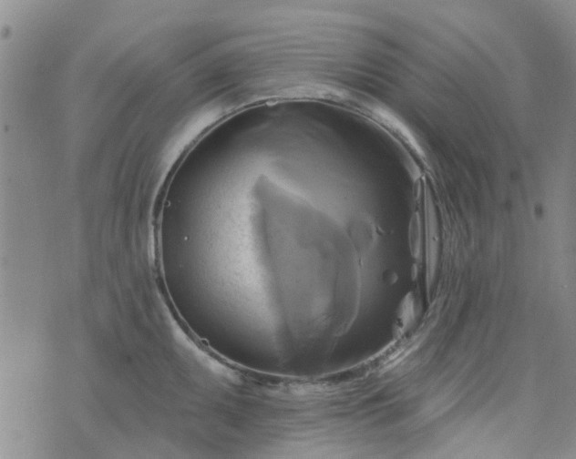 X0000076381095200610161109