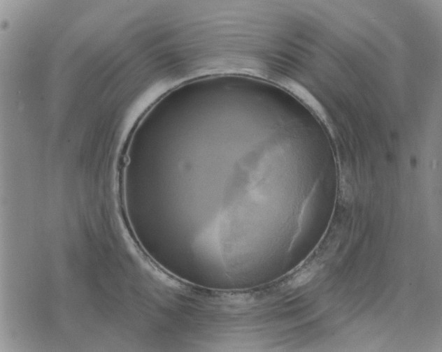 X0000076381096200610161109