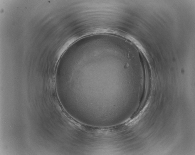 X0000076381097200610161109