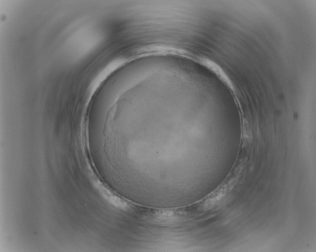 X0000076381098200610161109