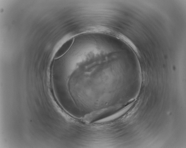 X0000076381099200610161109