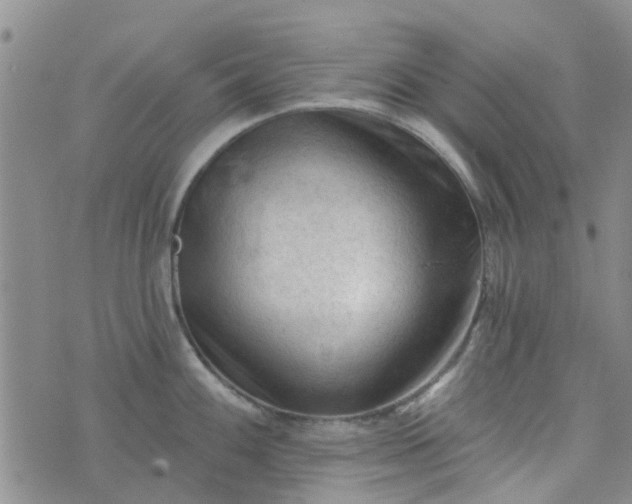 X0000076381100200610161109