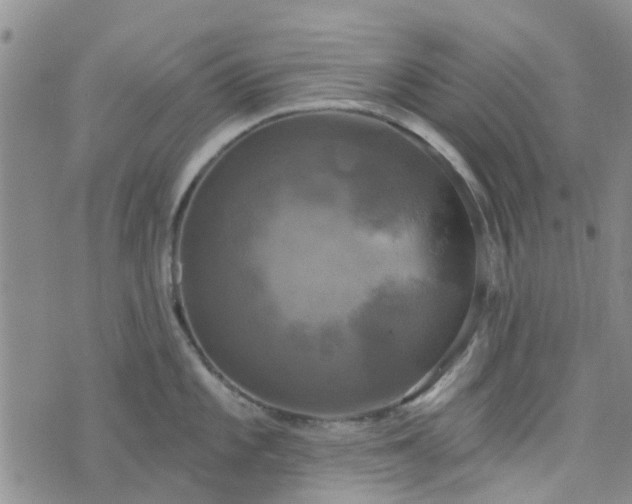 X0000076381101200610161109