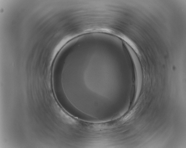 X0000076381102200610161108