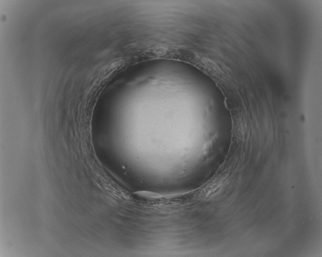 X0000076381105200610161108