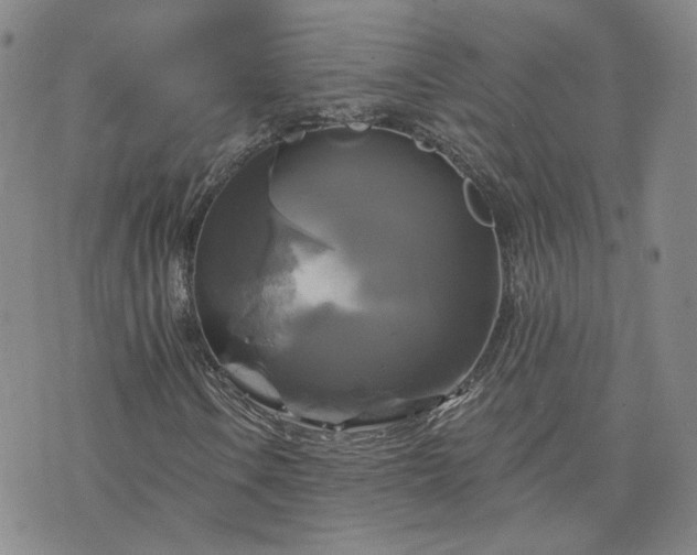 X0000076381106200610161108