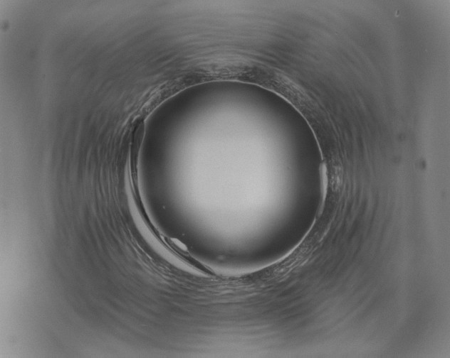 X0000076381108200610161108