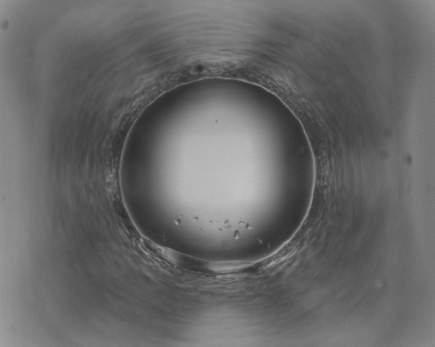 X0000076381109200610161108