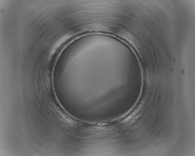 X0000076381115200610161108