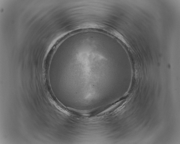 X0000076381116200610161108