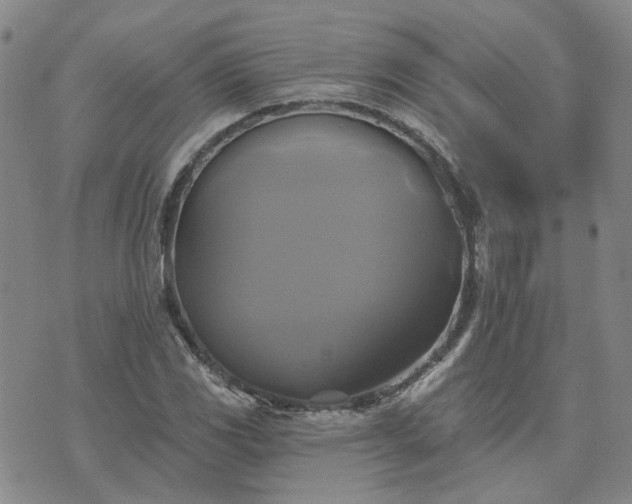 X0000076381117200610161108