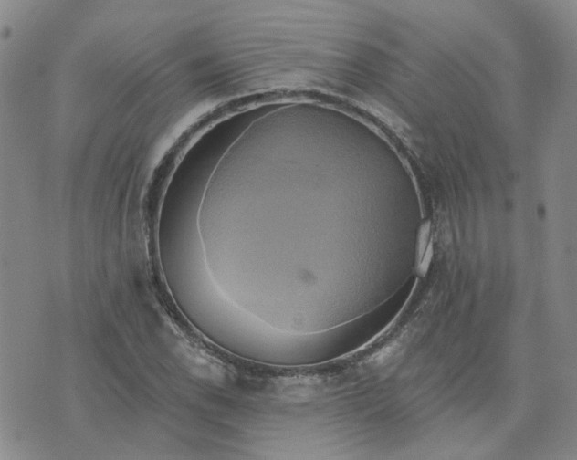 X0000076381118200610161108