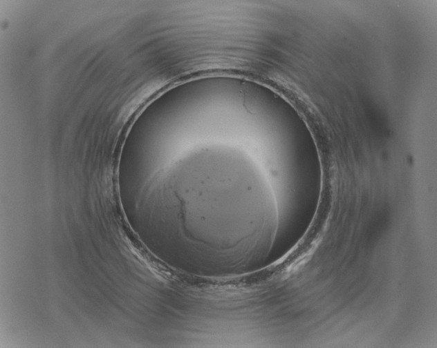 X0000076381121200610161108