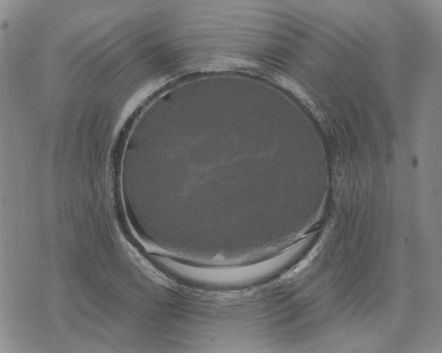 X0000076381122200610161108