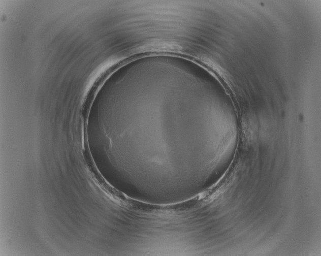 X0000076381123200610161108