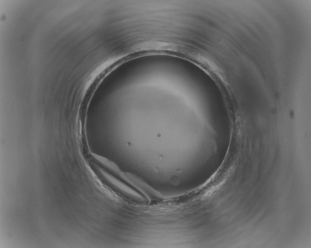 X0000076381125200610161108