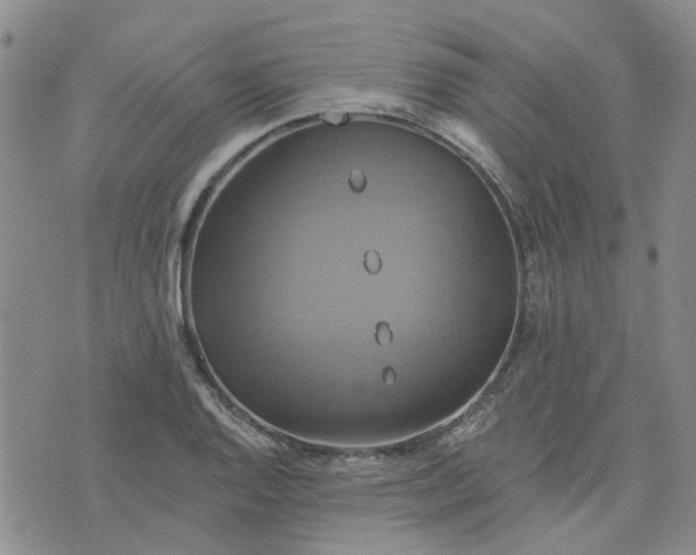 X0000076381128200610161108