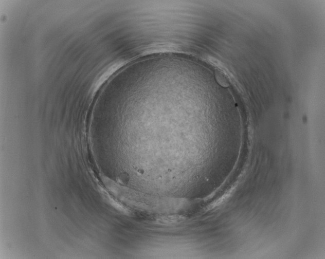 X0000076381129200610161108