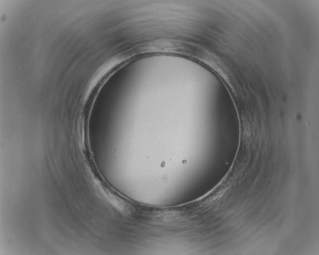 X0000076381131200610161108