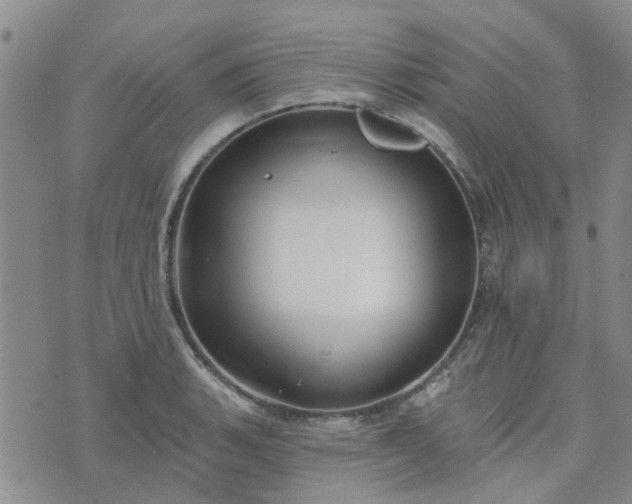 X0000076381135200610161108