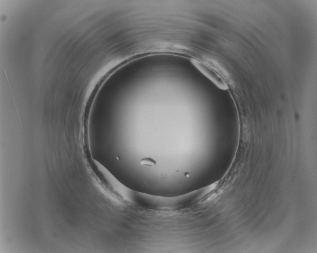 X0000076381136200610161108