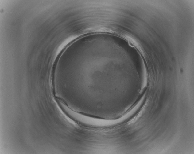 X0000076381141200610161108