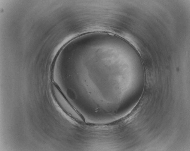 X0000076381142200610161108