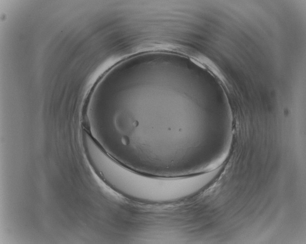 X0000076381143200610161108