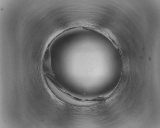 X0000076381144200610161108