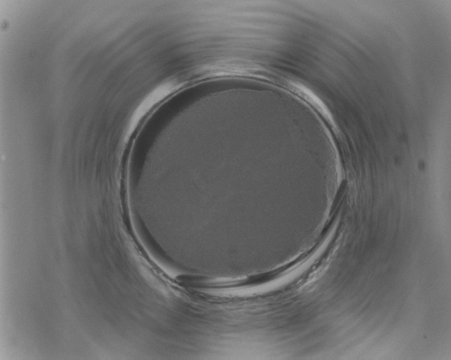 X0000076381146200610161108