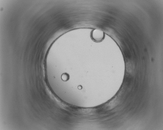 X0000076381150200610161108