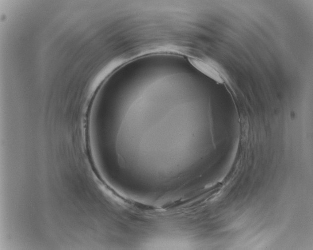 X0000076381151200610161108