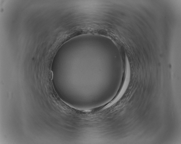 X0000076381153200610161108