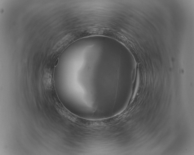 X0000076381154200610161108